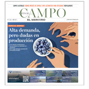 Paquete N°12: Revista Campo - Página - Indeterminada