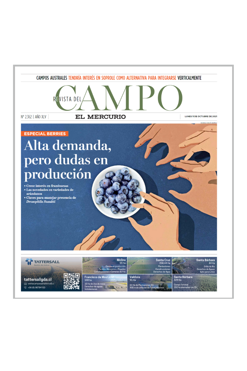 Paquete N°13: Revista Campo - Media Página - Indeterminada